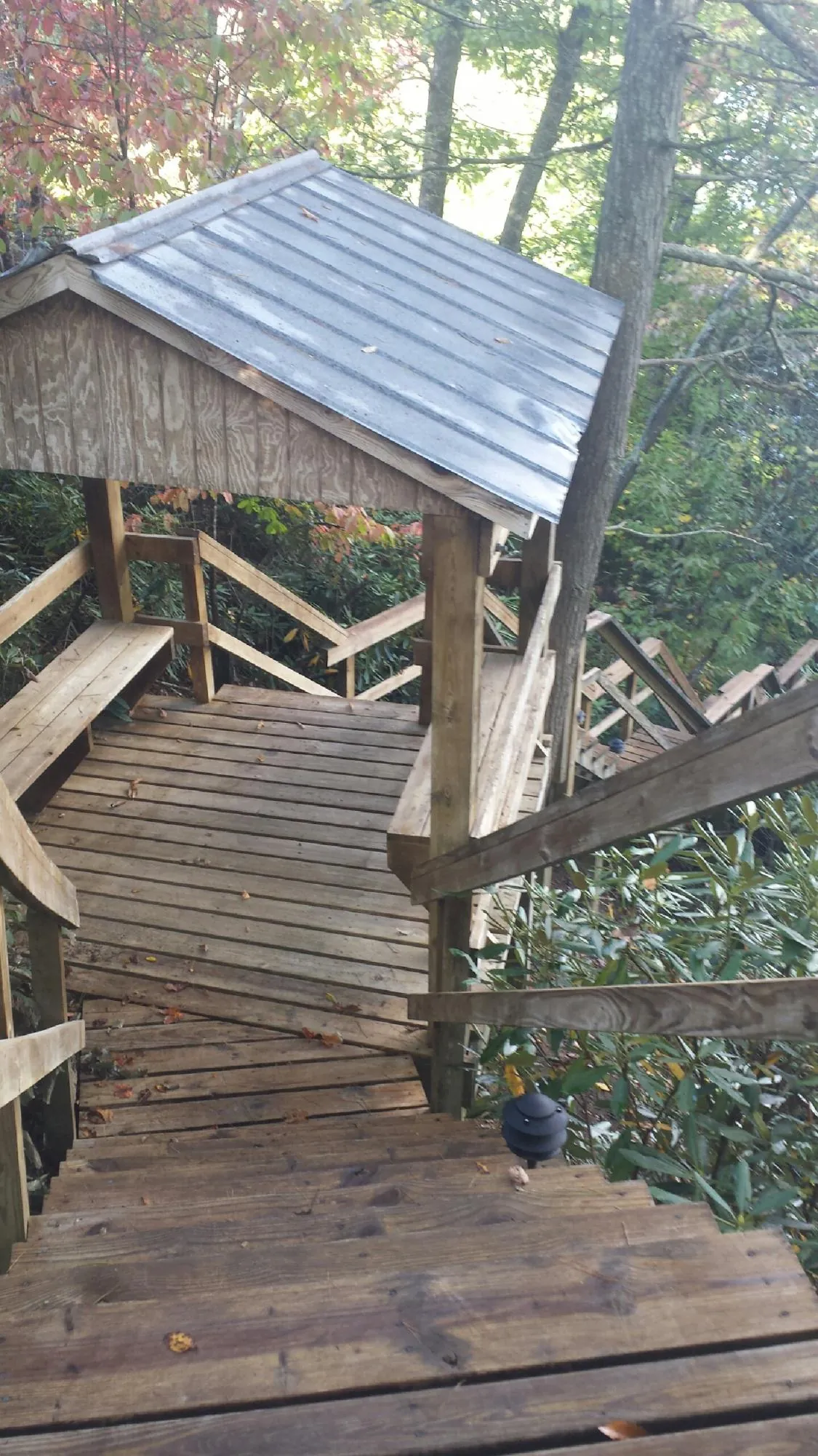 Metal roofed shelter over wooden steps on a wooded walkway — Skylight Repair & Installation work by our crew in Blue Rock